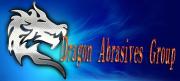 Dragon Abrasives Import & Export Co., Ltd.