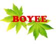 Boyee Industry & Trading Co., Limited