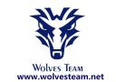 Wolves Team Limited