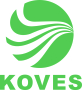 Dongguan Koves Precision Tools Co., Ltd.