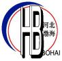 Hebei Bohai Pipe Fitting Group Co., Ltd.