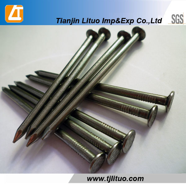 Common Round Wire Iron Nail, Polished Common Nail