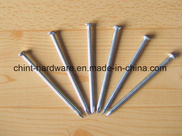 High Quality Polished Common Nail/ Common Wire Nails