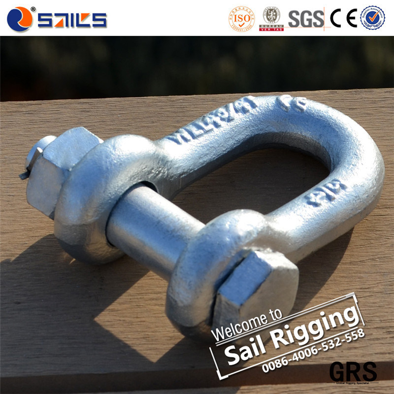 Us Carbon Steel Screw Pin D Type Zinc Plated Shackles