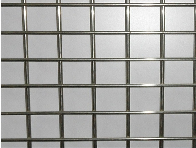 Welded Wire Mesh Galvanized 25mm*25mm China Professional Factory Supply