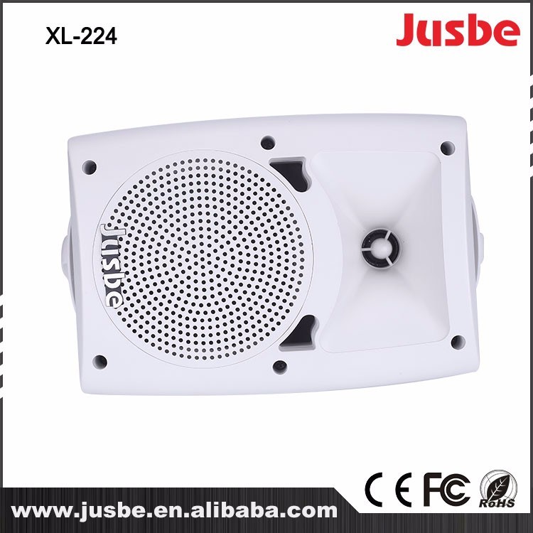 Two-Way Passive 4 Inches Wall Mounted Speaker XL-224