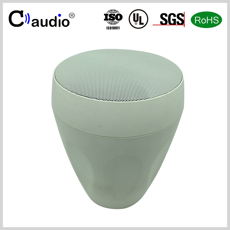 D752 5.25 Inch 2 Way Home Theater Speaker with Cloth Edge Coated Paper Cone