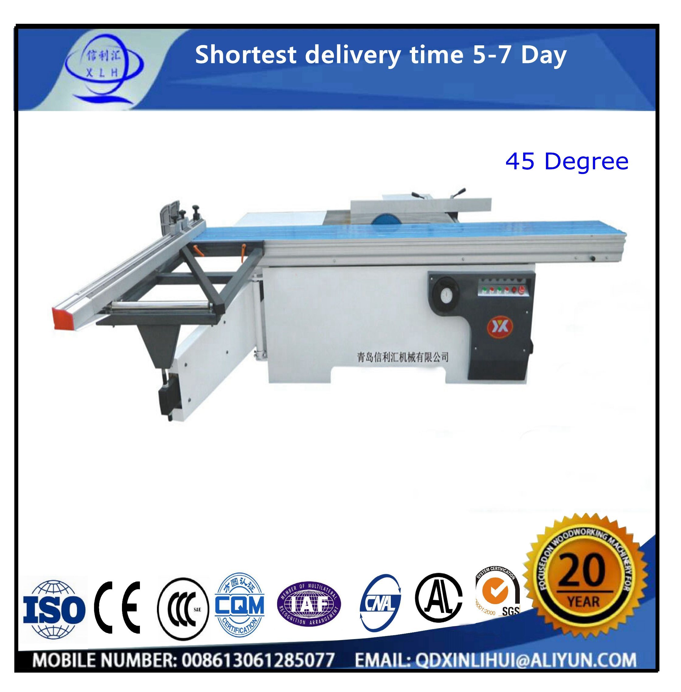 Germany Technology Deisign Precise Sliding Table Saw for Wood Cutting