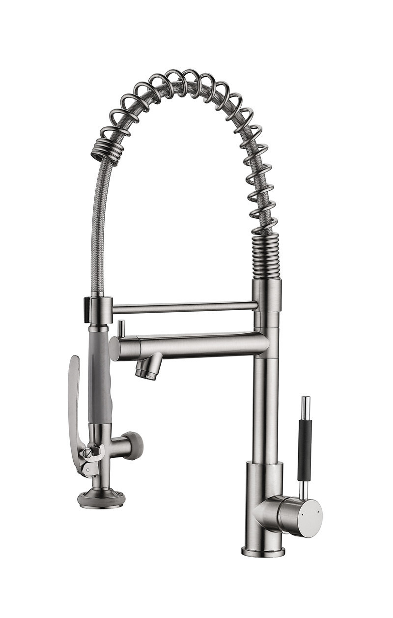 Multi-Function Practical Pull-out Kitchen Faucet (ZFT015L)