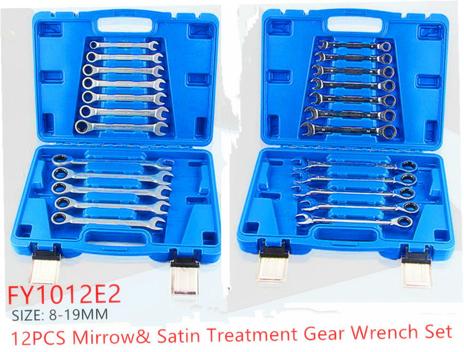 12PCS Professional Blowing Case Gear Wrench Set (FY1012E2)