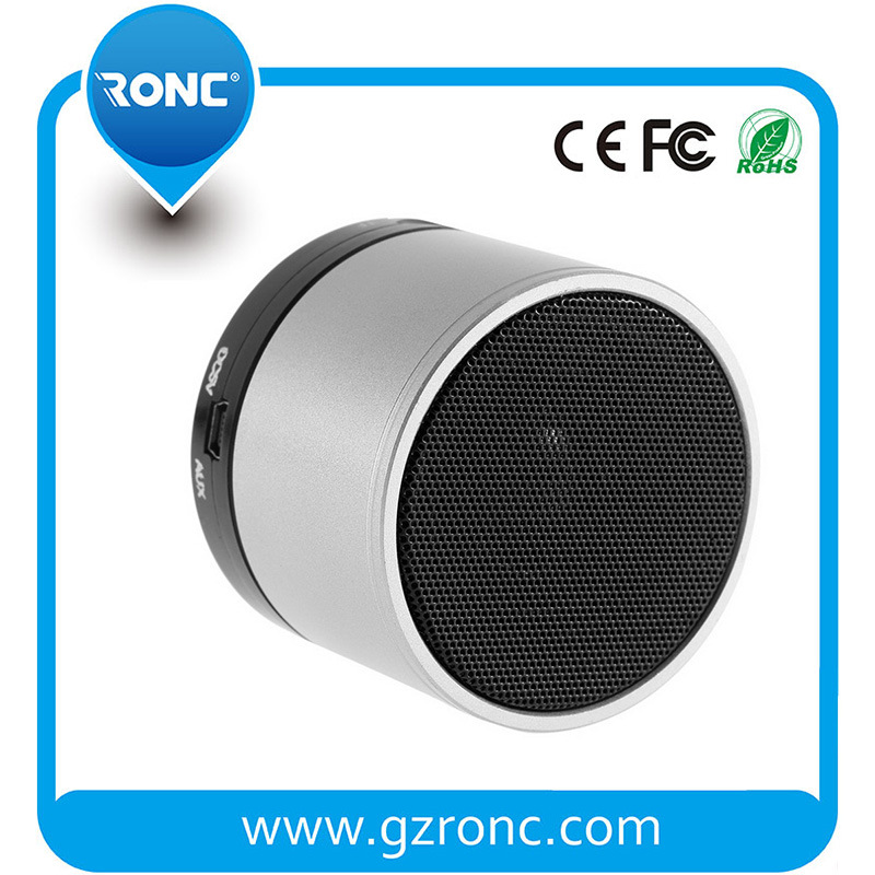 Active Portable Bluetooth Speaker with FM Radio