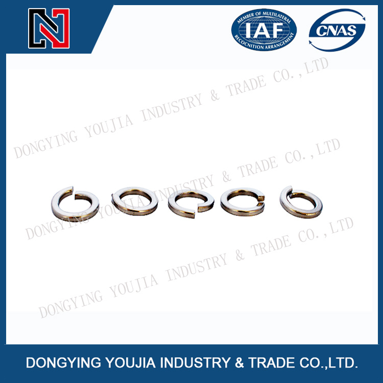 GB93 Stainless Steel Spring Washer