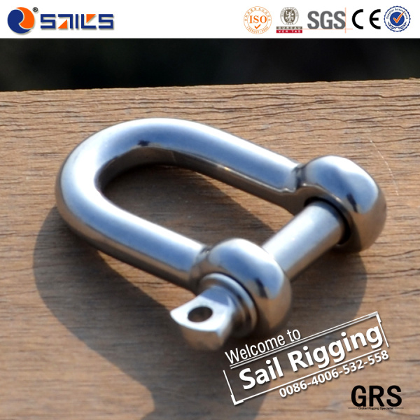 Hot Sale Stainless Steel SS D Shackle