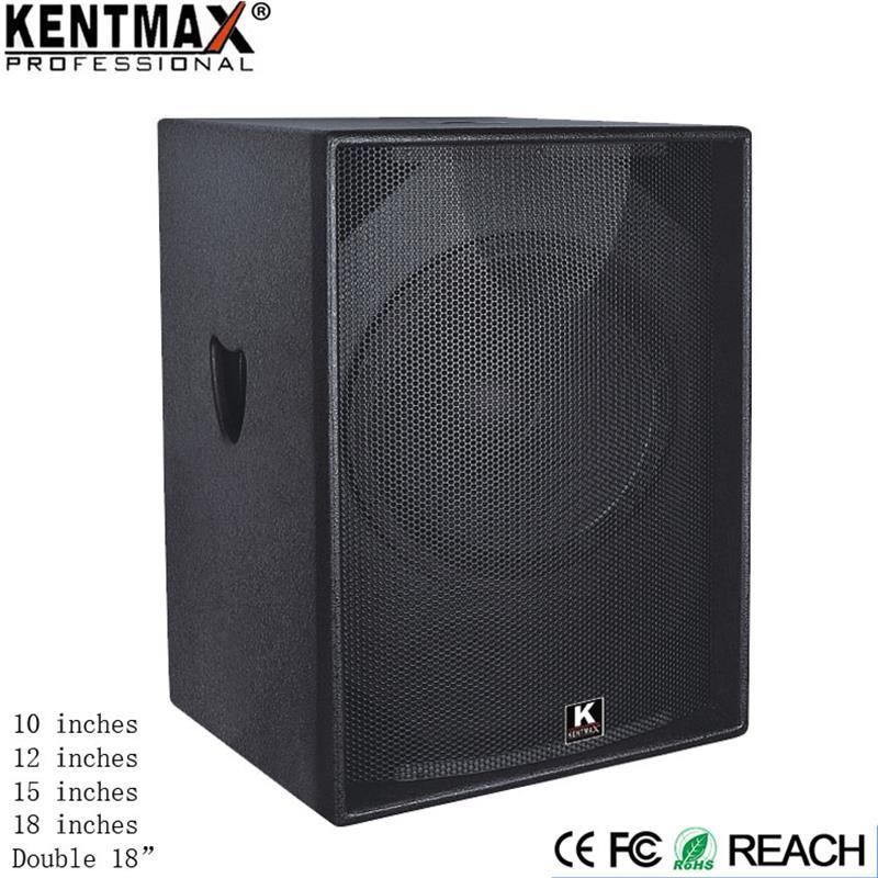 Hot Selling Professional Power 18 Inch MP3 Subwoofer Speaker