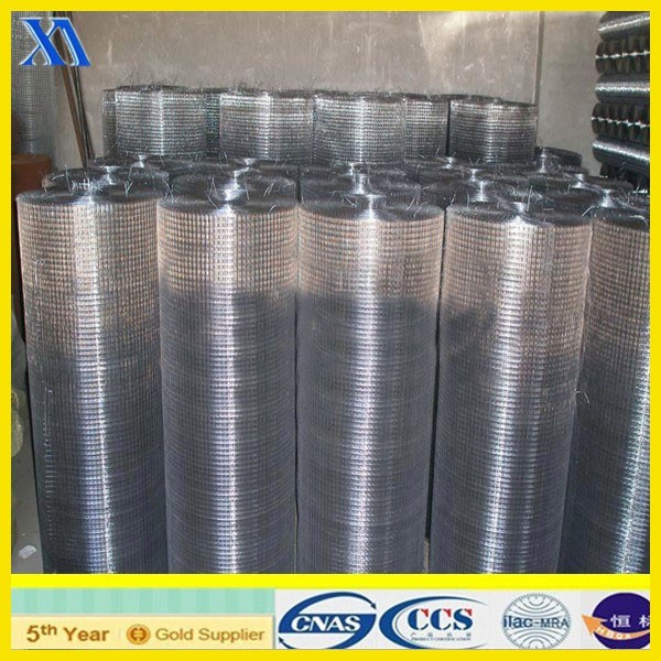 Elcectro Galvanized Welded Wire Mesh for Building