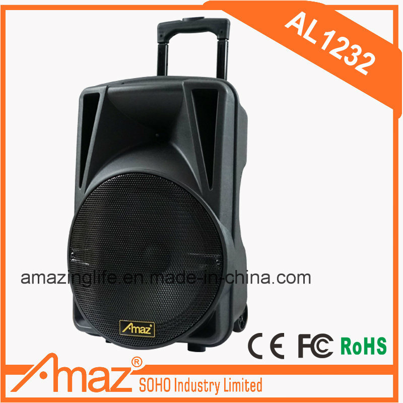 12 Inch Trolley Speaker with FM/USD/FM/Bluetooth