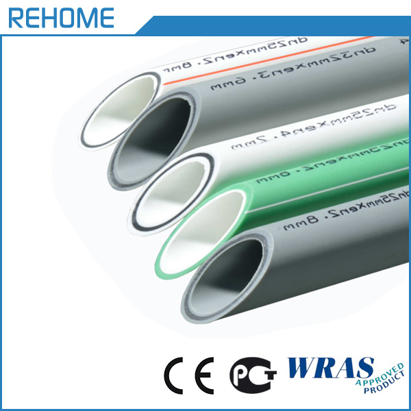 Top Quality PPR Pipe/PPR Hot Water Pipe Pn16 20-110mm