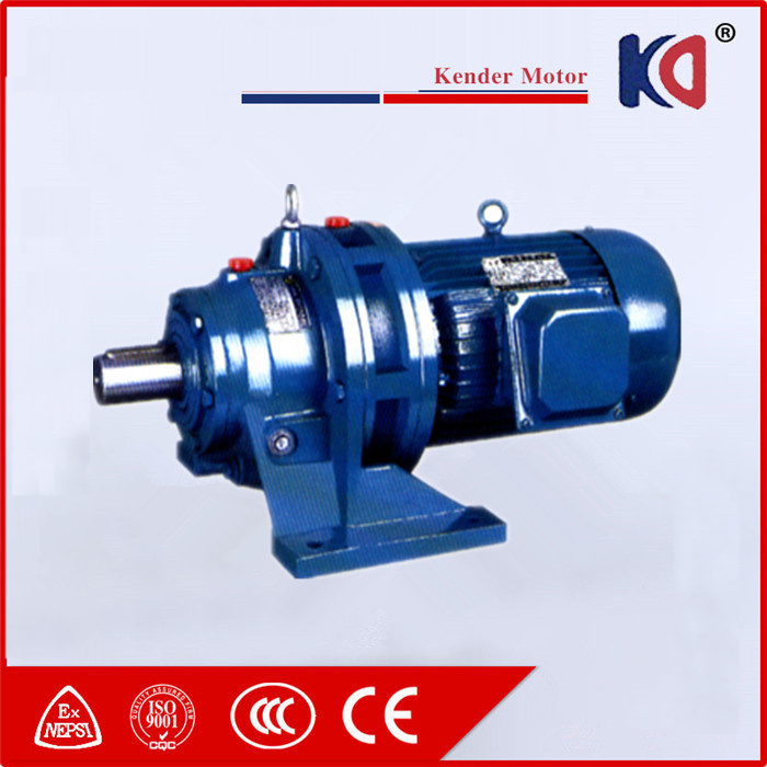 Cycloid (Cyclo) Gearbox Reducer with AC Electric Motor