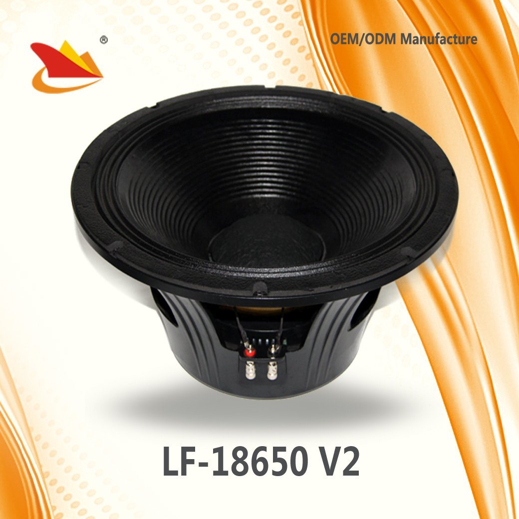 18inch 3000W PA Speaker with Double Spider