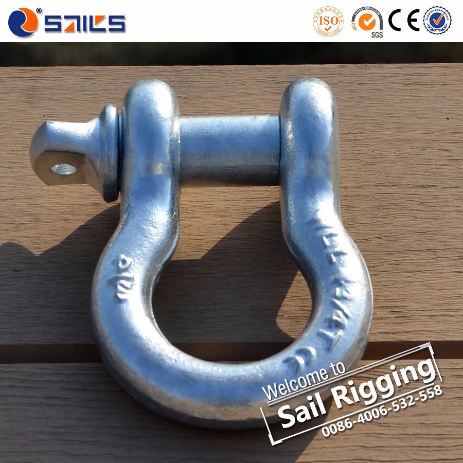 HDG Us Type Carbon Steel Screw Pin Shackle