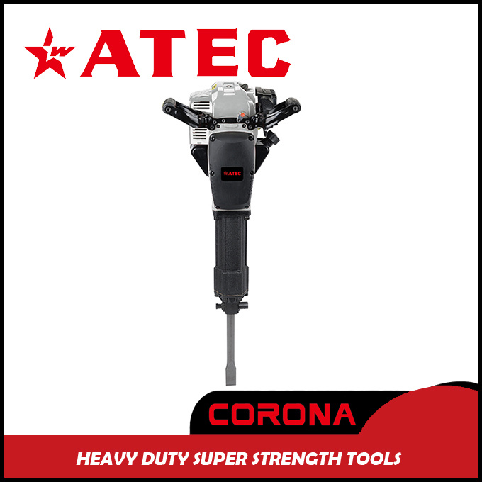 Professional Electric Rotary Hammer Drill (AT10095)