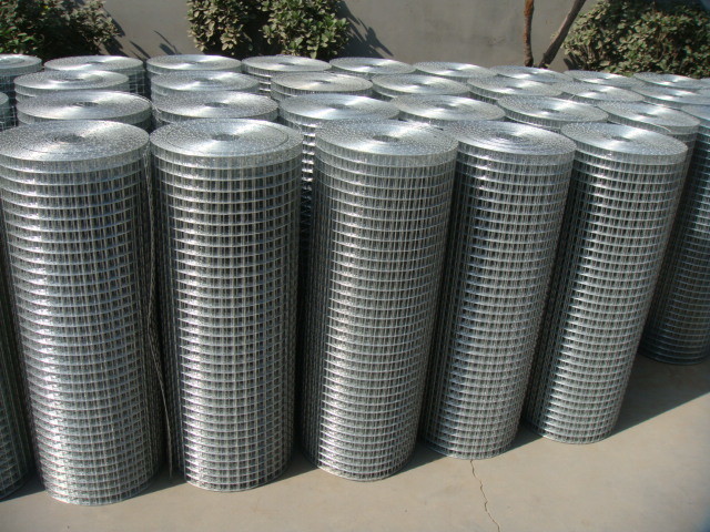 Galvanized Welded Wire Mesh for Building