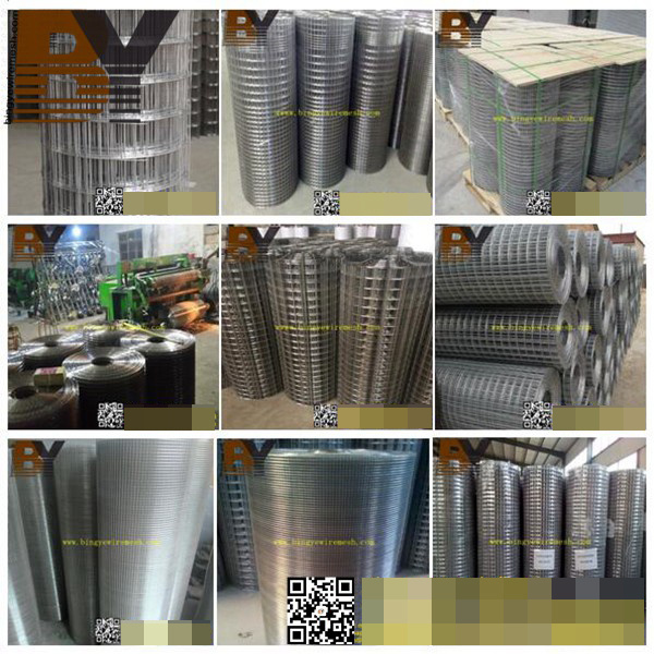Galvanized PVC Coated Stainless Steel Aviary Welded Wire Mesh