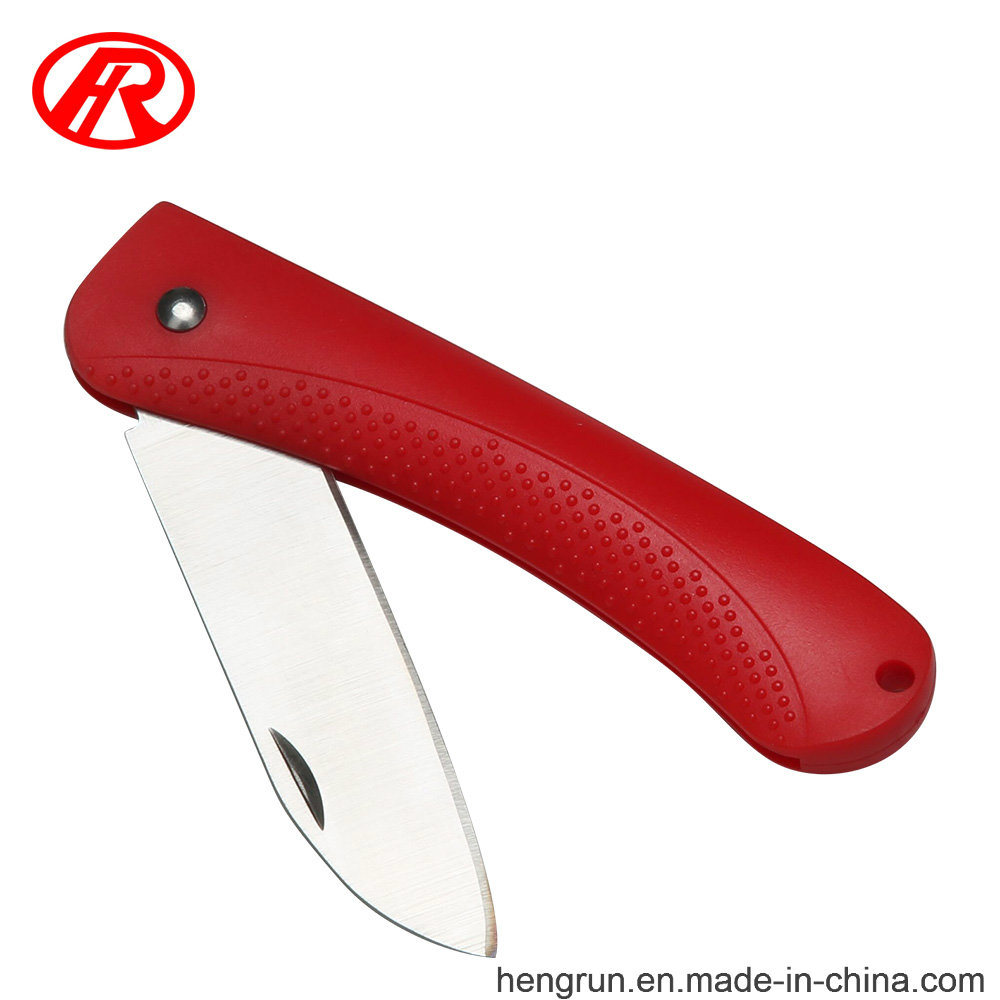 Stainless Steel Kitchen Paring Fruit Knife