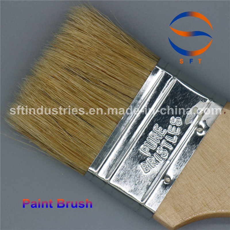 Pure Bristles Pig Hair Paint Brushes for FRP