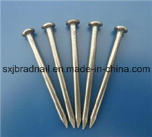 Wholesale Hardware Common Round Nails Iron Nails in China