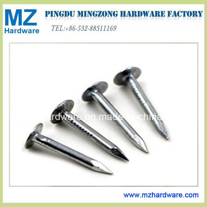 Galvanized Clout Roofing Nail for Woodworking and Building
