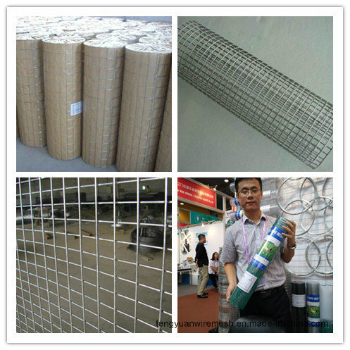 Anping Factory Welded Wire Mesh for Fence