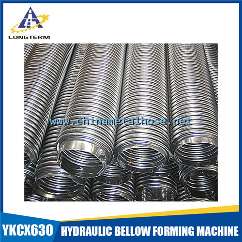 SUS304 Flexible Metal Hose with Fittings