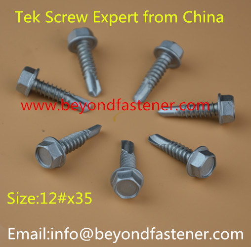 Self Tapping Screw Roofing Screw Building Screw