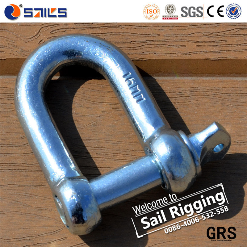 Europe Large Type D Shackle