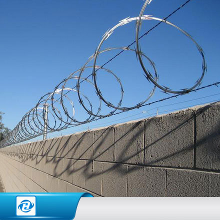 Razor Wire Fencing /Fence/ Barbed Wire for Home