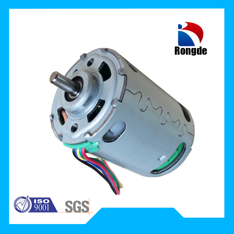 12V-48V/100W-300W High Speed High Efficiency DC Electric Motor for Power Tools