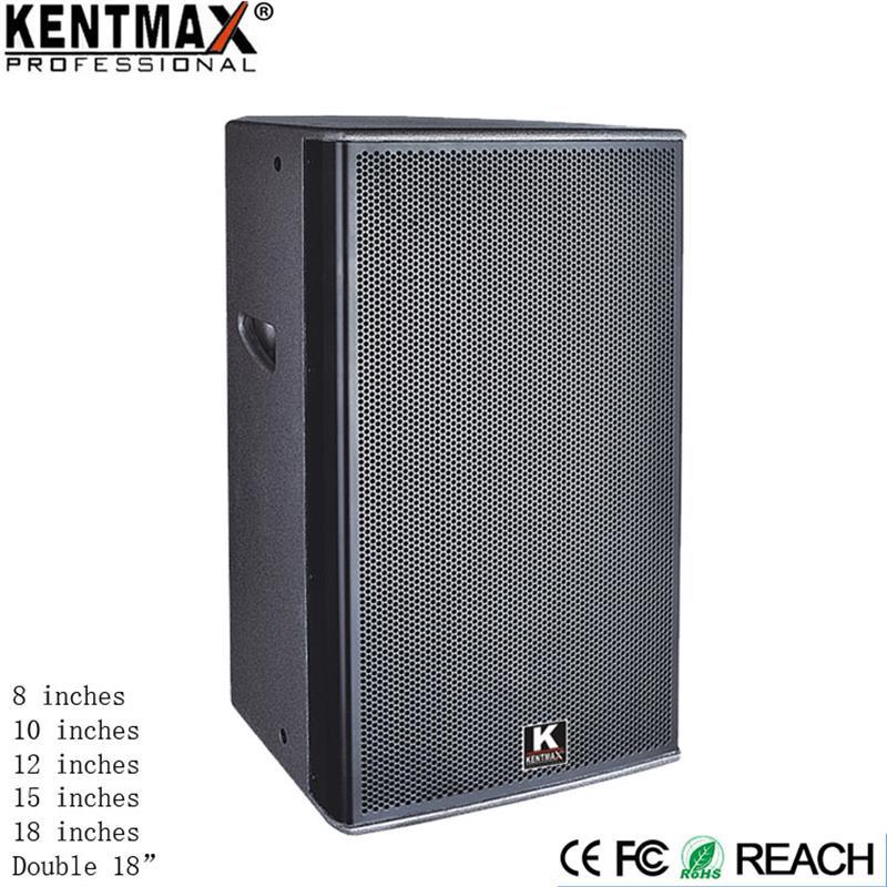 Factory Sale Professional 10 Inch Karaoke HiFi Speaker