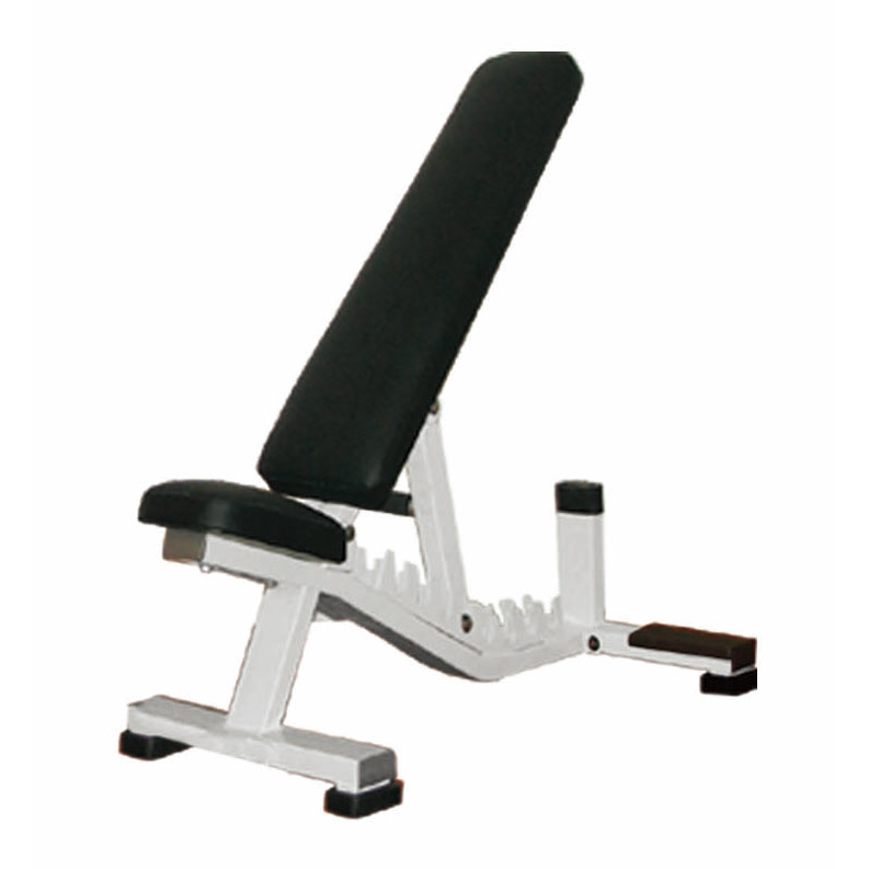 Multi Adjustable Bench Gym Equipment, Fitness, Body Building, Hammer Strength