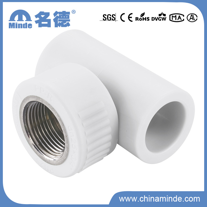 PPR Female Tee Type D Fitting for Building Material