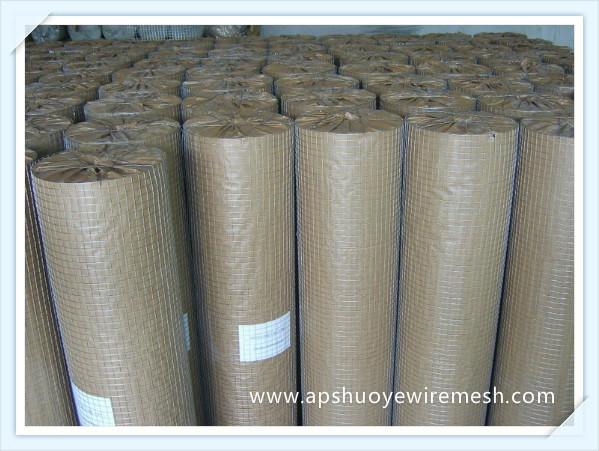 SUS304 Stainless Steel Welded Wire Mesh with SGS Certification