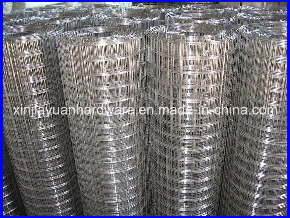 Building Material Galvanized Welded Wire Mesh