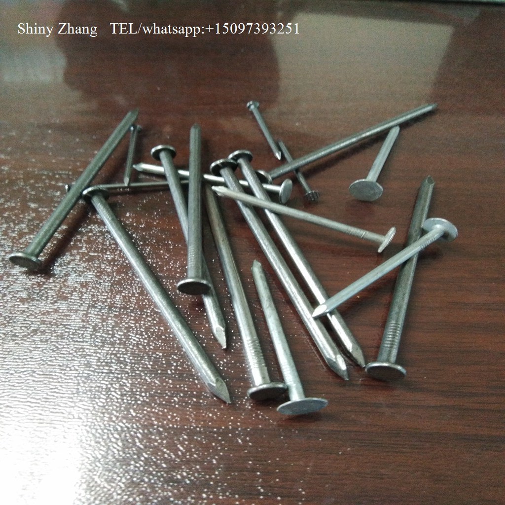 Building Use High Quality Common Nail