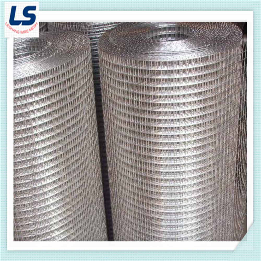 Stainless Steel Welded Wire Mesh 1/4