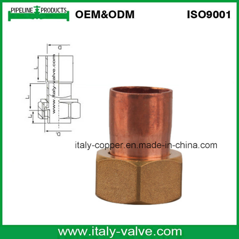 Customized Quality Copper Fitting with Brass Cap (AV8008)