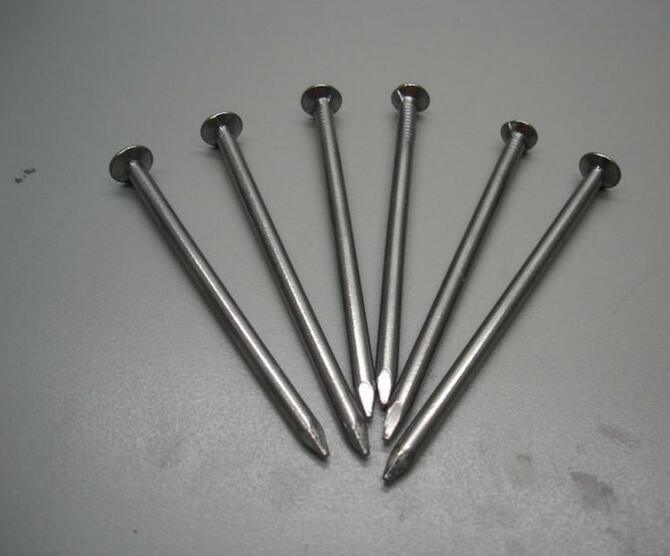 Polished Common Nail for Construction