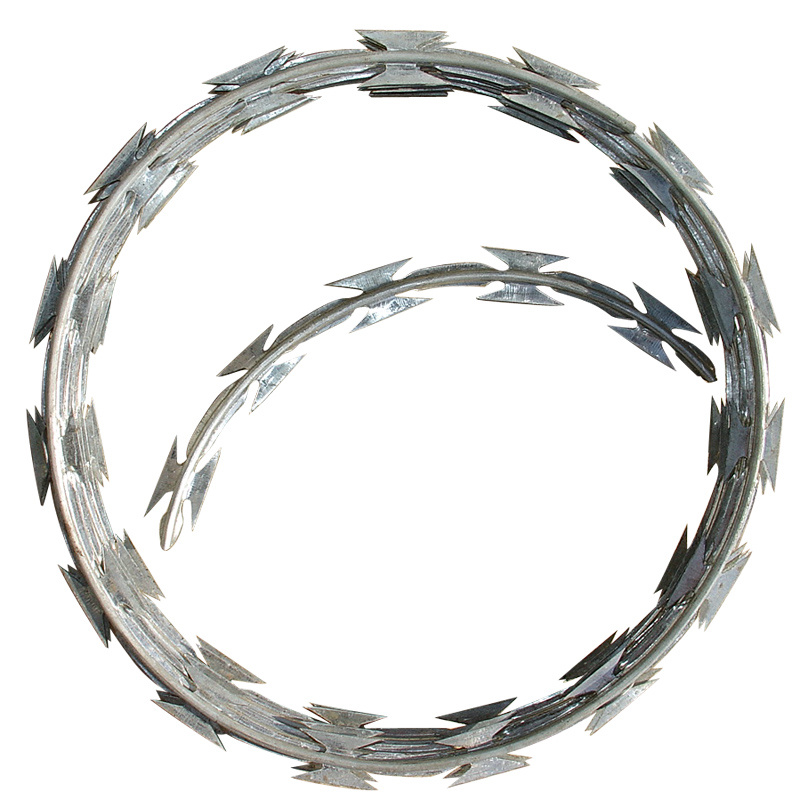 Security Protected Razor Barbed Wire (BTO-28)