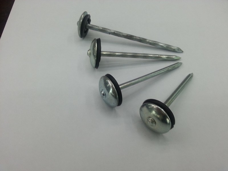 Q195 Twisted Shank Electro Galvanized Umbrella Head Roofing Nails