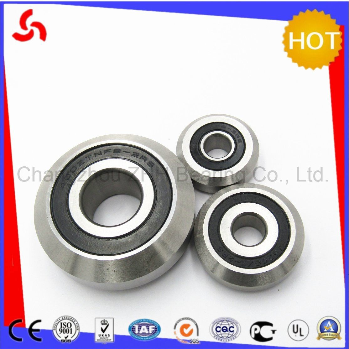 V5200-2RS 4000tnfb-2RS 4002tnfb-2RS Bearing for Bevelling Machine and Chamfering Machine