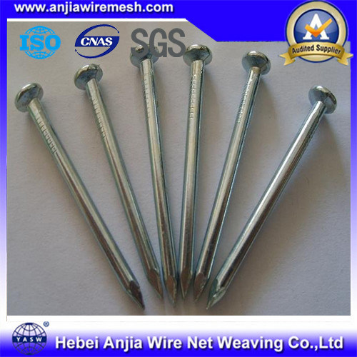 High Quality Bwg3-20 Polished Galvanized Common Iron Wire Nail